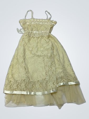 Lace Dress with Tulle Skirt