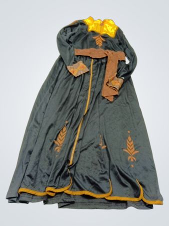 Disney Frozen II Costume Dress
