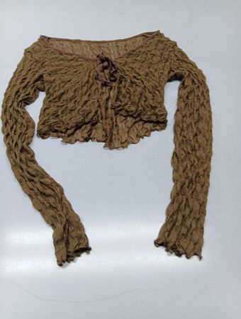 Brown Crinkle Long Sleeve Crop Top