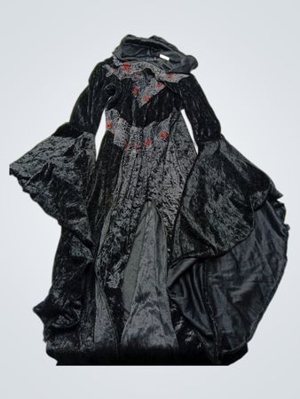 Black Velvet Dress with Spiderweb Design