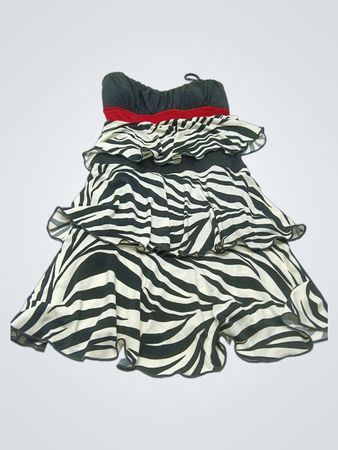 STORM Zebra Druck Stufenloses Trägerloses Kleid
