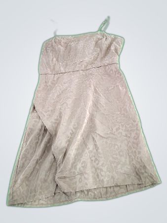 Forever 21 Taupe Leopard Print Spaghetti Strap Mini Dress