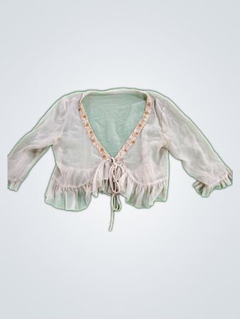 Sheer Lace Trim Blouse