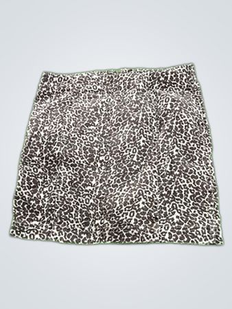 Leopard Print Skirt
