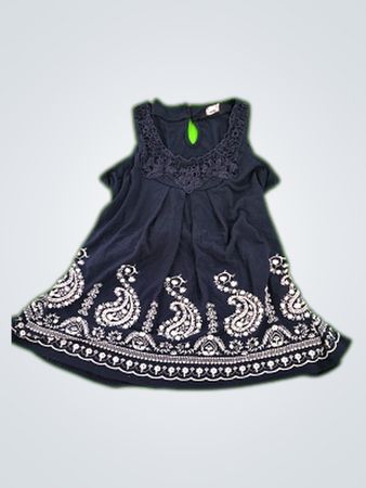 Max Embroidered Navy Blue Dress