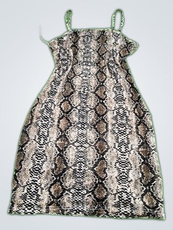 Snake Print Dress