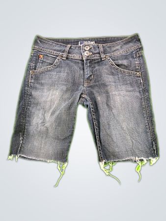 Hudson Denim Shorts