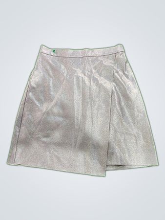 Silver Skirt