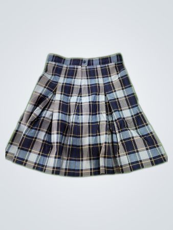 Plaid Skirt