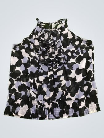 The Limited Blouse