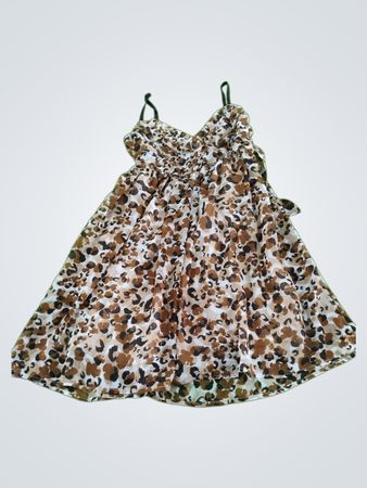 Leopard Print Dress