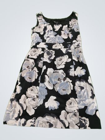 Express Floral Print Sleeveless Mini Dress