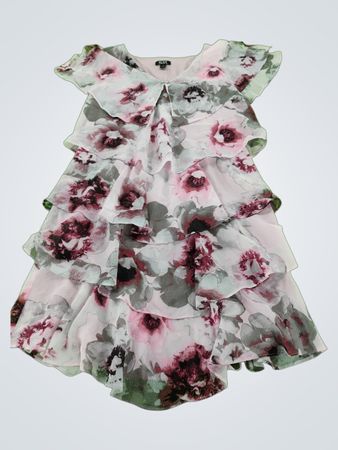 SL Fashions Floral Ruffle Dress