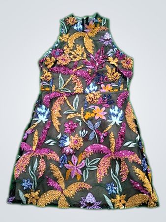 Luxel Sleeveless Embroidered Mini Dress