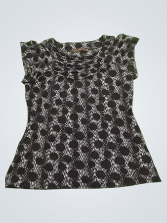 The Limited Blouse
