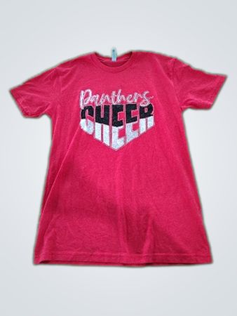 Next Level Panthers Queer Pride T-Shirt