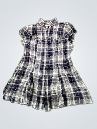 Dressbarn Plaid Button-Down Shirt Dress