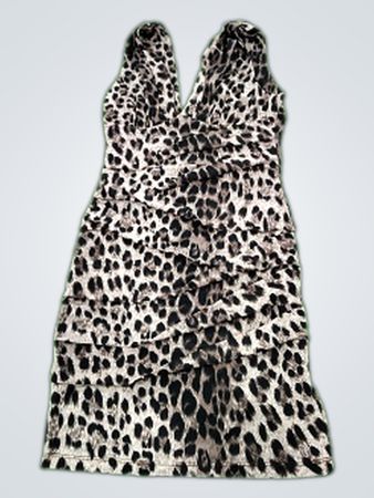 Forever 21 Leopard Print Mini Dress