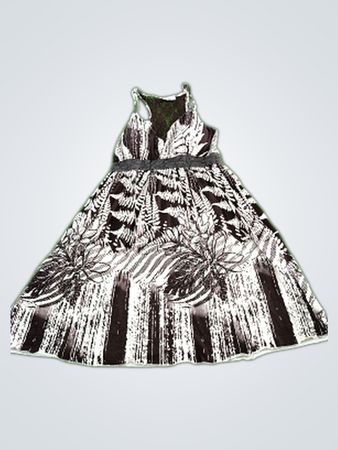 Currants Brown and White Dress