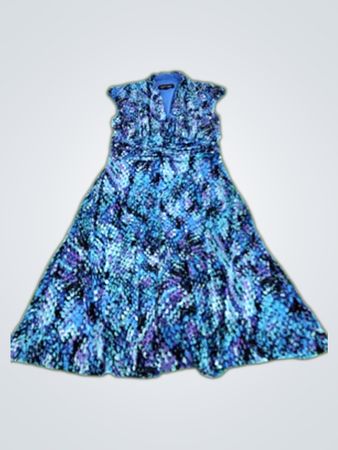 Evan Picone Black Label Dress