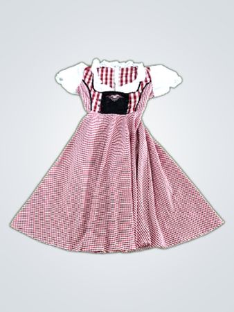 Red and White Checkered Dress