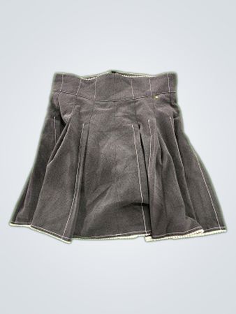 Gray Pleated Skirt