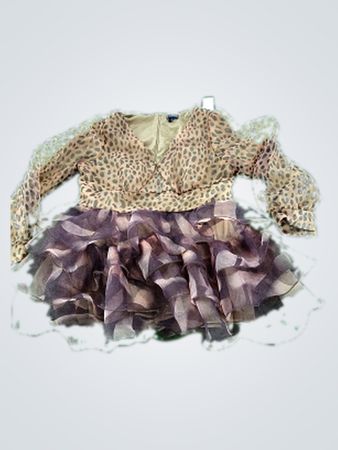 Leopard Print Dress with Ruffled Skirt