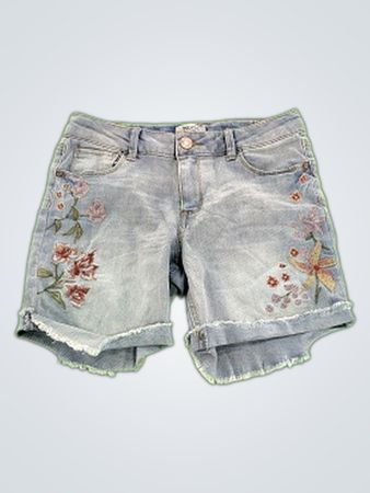 Mudo Embroidered Denim Shorts