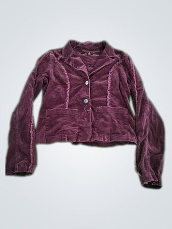 Vanilla Jeans Purple Velvet Jacket