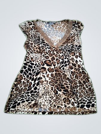 Leopard Print Dress