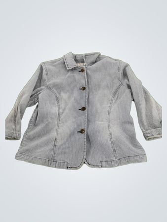 Chadwick's Striped Shirt Jacket