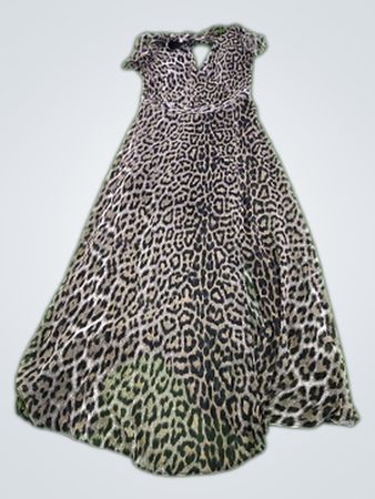 Topshop Leopard Print Dress