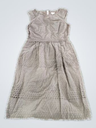 J.Crew Sleeveless Eyelet Dress
