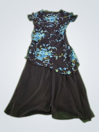 Eva Blue Floral Print Dress