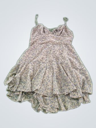Blush BJ Floral Ruffled Dress