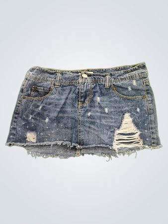 Paris Blues Denim Skirt