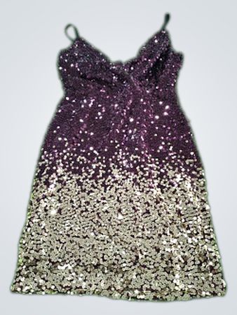 Venus Sequined Dress