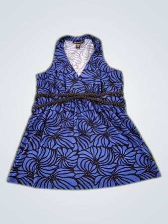 Blue Floral Sleeveless Dress