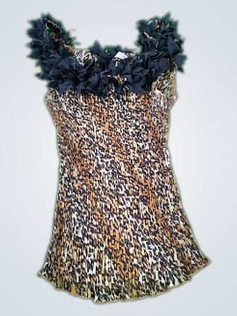 Kaely N Max Leopard Print Top
