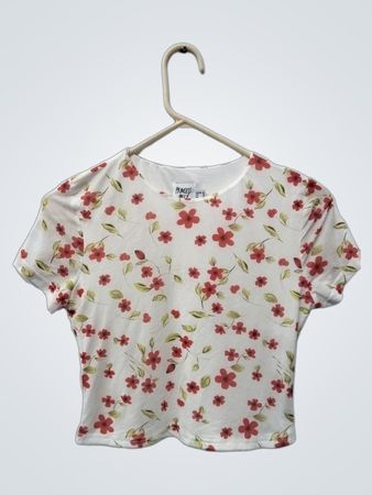 Princess Polly Floral Crop Top