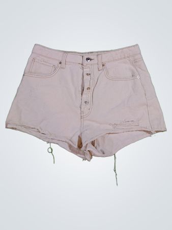 Wild Fable Shorts