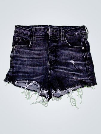 DNAY Denim Shorts