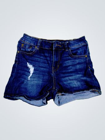 Indigo Rein Denim Shorts