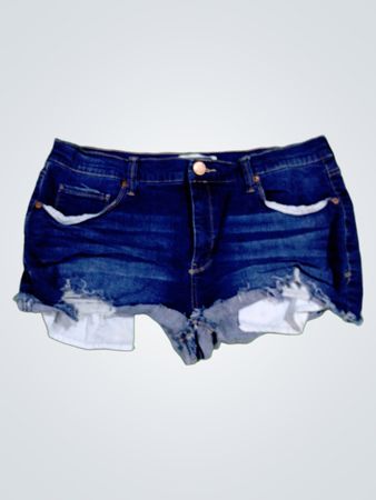 Mudd Denim Shorts