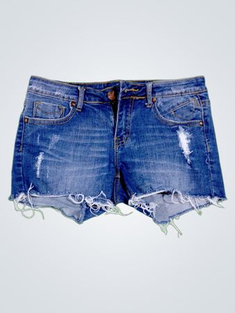 Vigoss Distressed Denim Shorts