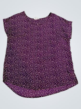 Pleione Polka Dot Short Sleeve Blouse