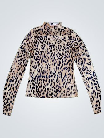 H&M Leopard Print Long-Sleeve Mock Neck Top