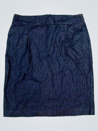 Ann Taylor Denim Skirt