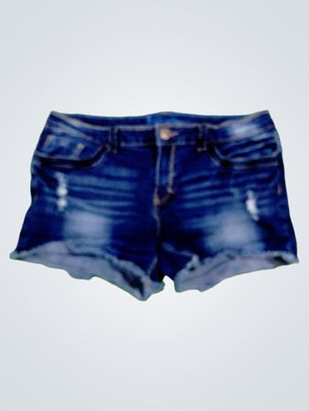Aryya Denim Shorts