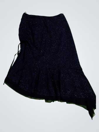 Black Sparkly Skirt